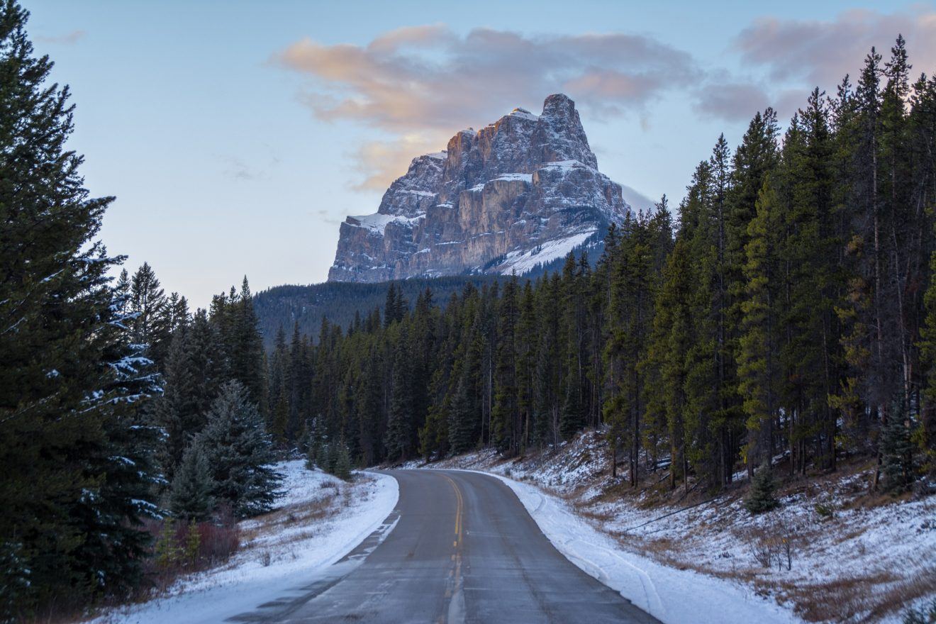 #TRIPLONGER WEEK 1 WINNER