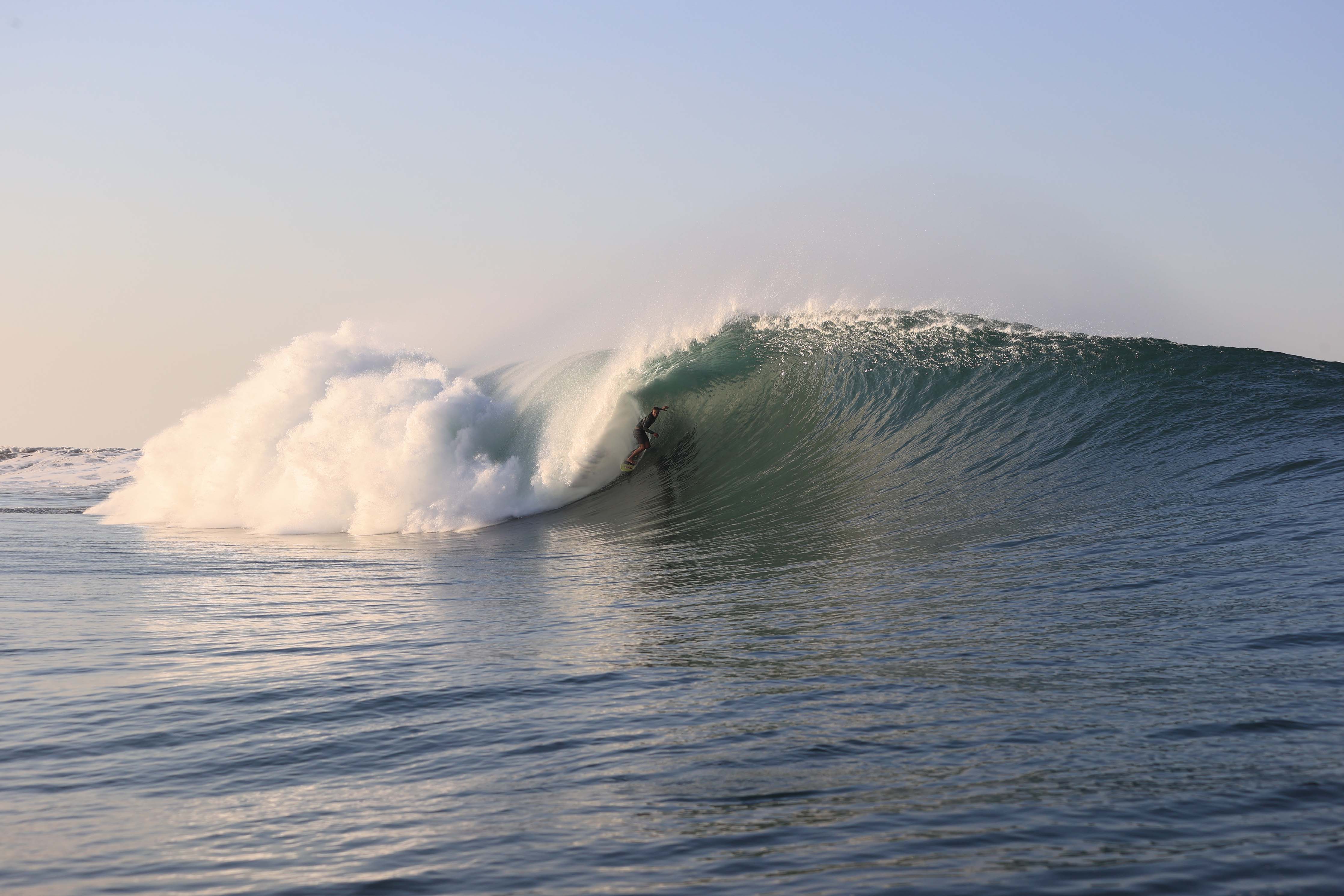 roark_surfer_pacuales