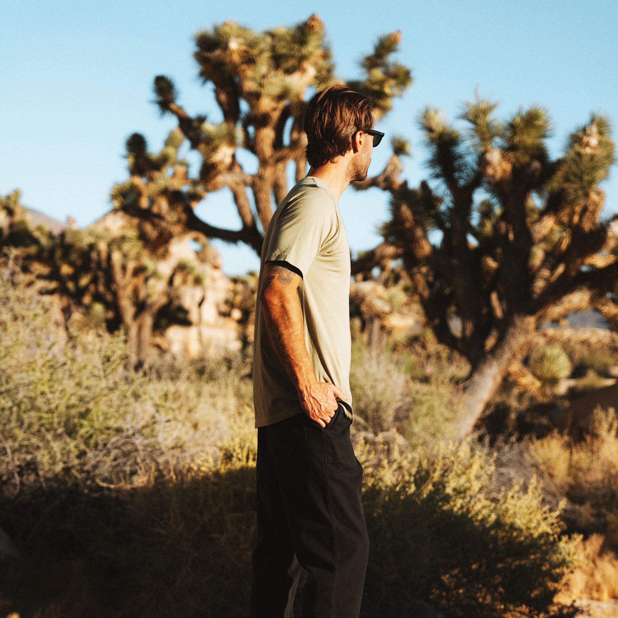 Man wearing tan t-shirt and black pants standing in desert landscape with Joshua trees under clear blue sky