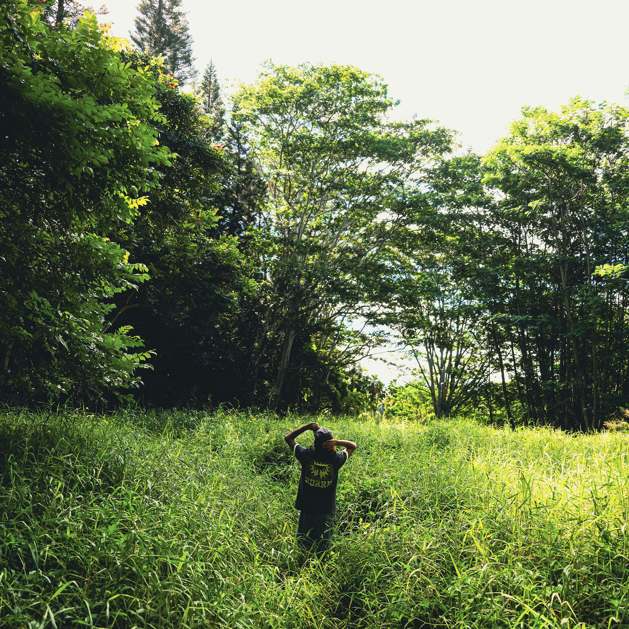Green palm leaf design on a Roark Premium Tee, embodying the spirit of adventure in a natural environment.