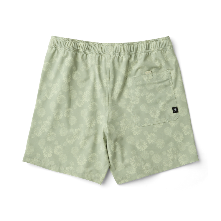 Shorey 16
