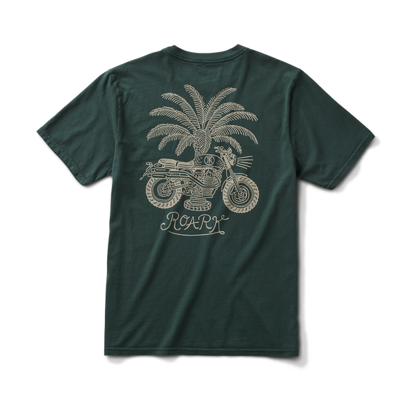 RT1384_DFT_002_grande.png?v=