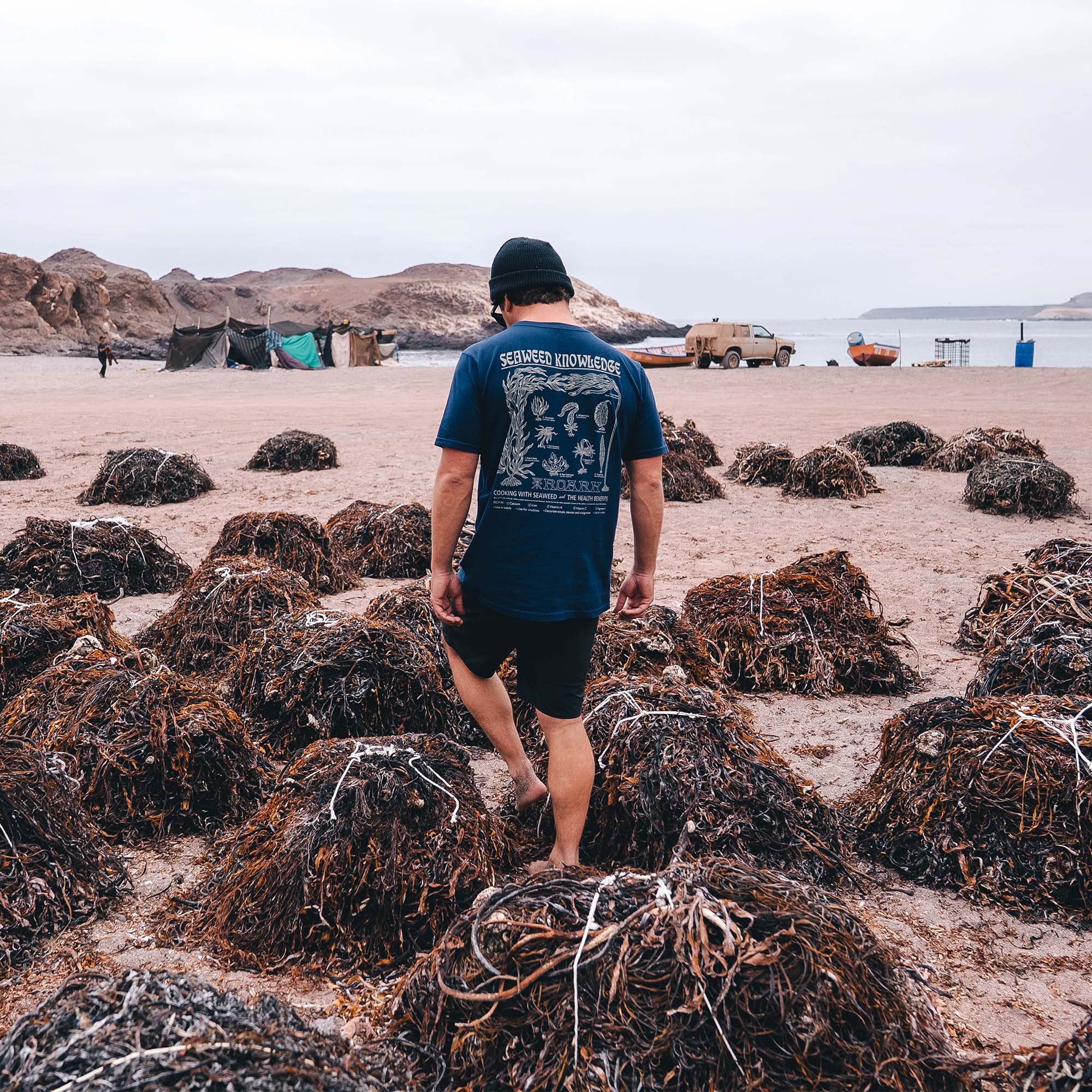 Roark's Seaweed Knowledge Premium Tee displayed on sandy beach, embodying the spirit of adventure and travel.