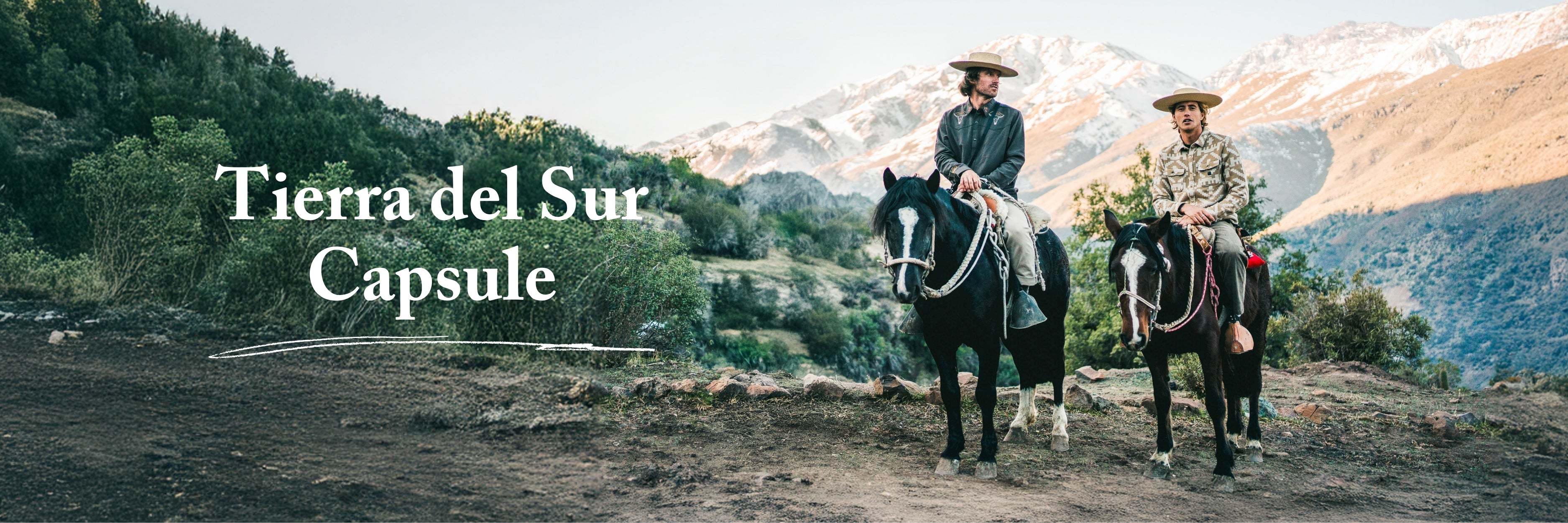 Banner image of a horse equipped with adventure gear from Roark's Tierra del Sur Capsule Collection, highlighting outdoor and travel essentials for working animals.